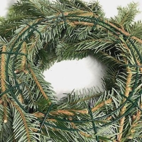 Fresh Spruce Wreath 10 Inch